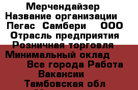 Мерчендайзер › Название организации ­ "Пегас" Самбери-3, ООО › Отрасль предприятия ­ Розничная торговля › Минимальный оклад ­ 23 500 - Все города Работа » Вакансии   . Тамбовская обл.,Моршанск г.